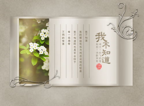 圖文設(shè)計(jì) 視覺語言與創(chuàng)意的融合藝術(shù)